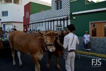 Alegre y participativa romería en El Ejido (Foto FJ Santana y TF)